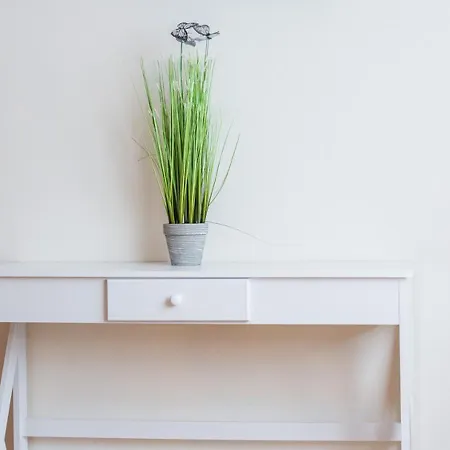 Centrico Con Wifi Y Parking De Coche Tamano Medio