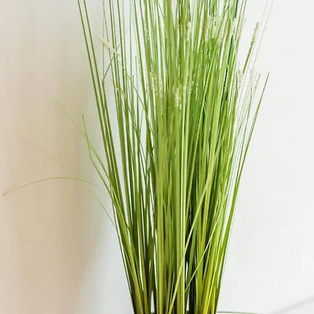 شقة Centrico Con Wifi Y Parking De Coche Tamano Medio