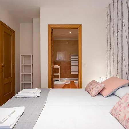 Centrico Con Wifi Y Parking De Coche Tamano Medio