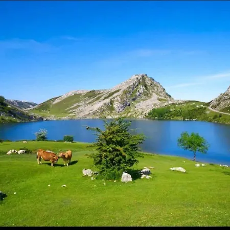 Centrico Con Wifi Y Parking De Coche Tamano Medio شقة *