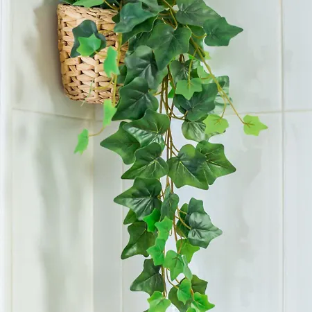 Centrico Con Wifi Y Parking De Coche Tamano Medio شقة *