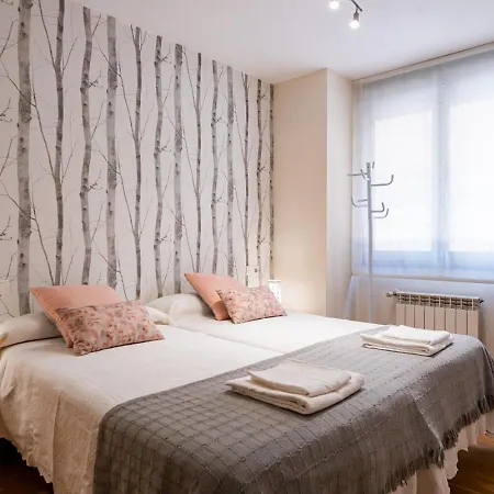 Centrico Con Wifi Y Parking De Coche Tamano Medio Onís